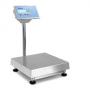 Váha můstková celonerezová ZEVA 1TC, 600×600mm s indikátorem DFWLI do 150kg
